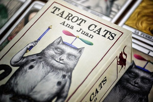 Tarot Cats, Tarot de los Gatos, Fournier
